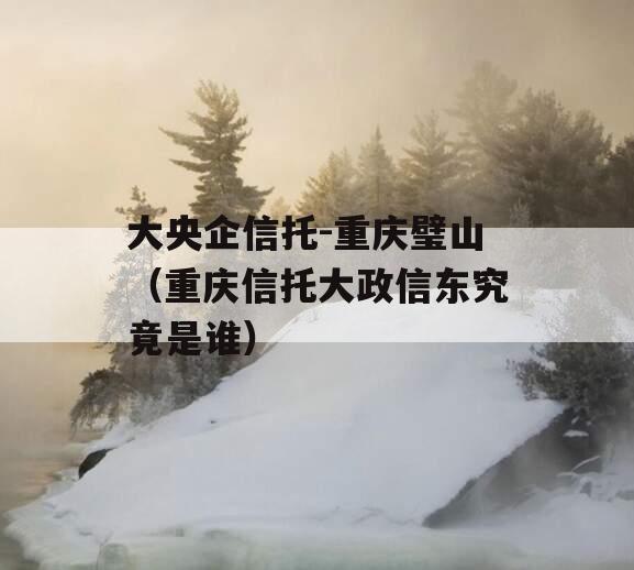 大央企信托-重庆璧山（重庆信托大政信东究竟是谁）