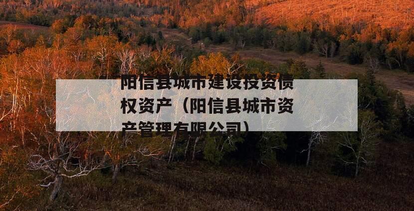 阳信县城市建设投资债权资产（阳信县城市资产管理有限公司）