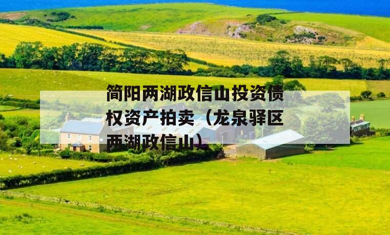 简阳两湖政信山投资债权资产拍卖（龙泉驿区两湖政信山）