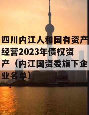 四川内江人和国有资产经营2023年债权资产（内江国资委旗下企业名单）