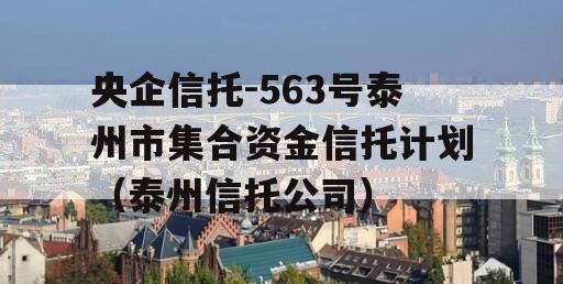 央企信托-563号泰州市集合资金信托计划（泰州信托公司）