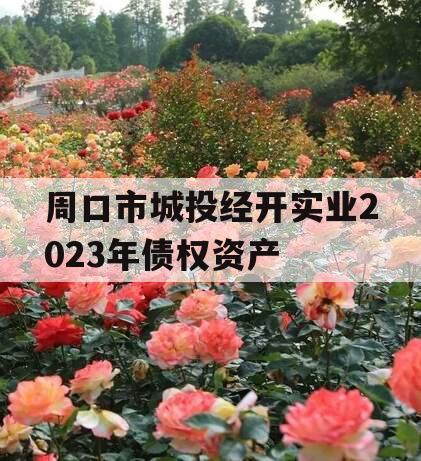 周口市城投经开实业2023年债权资产