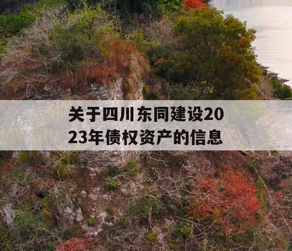 关于四川东同建设2023年债权资产的信息