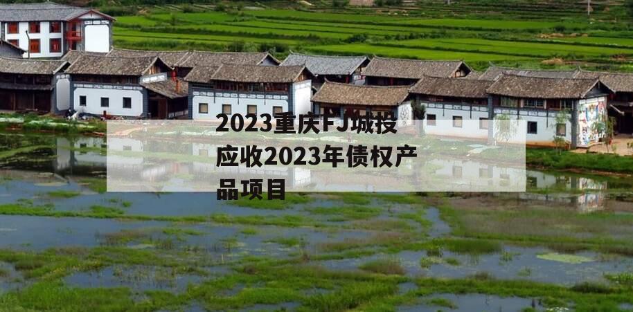 2023重庆FJ城投应收2023年债权产品项目