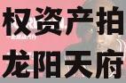 四川龙阳天府新区建设投资债权资产拍卖项目（四川龙阳天府新区建设公司 董事长）