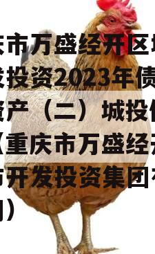 重庆市万盛经开区城市开发投资2023年债权资产（二）城投债定融（重庆市万盛经开区城市开发投资集团有限公司）