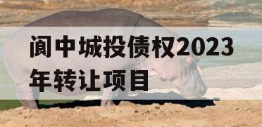 阆中城投债权2023年转让项目