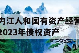 内江人和国有资产经营2023年债权资产