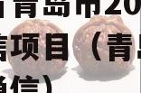山东省青岛市2023年政信项目（青岛信政网络通信）