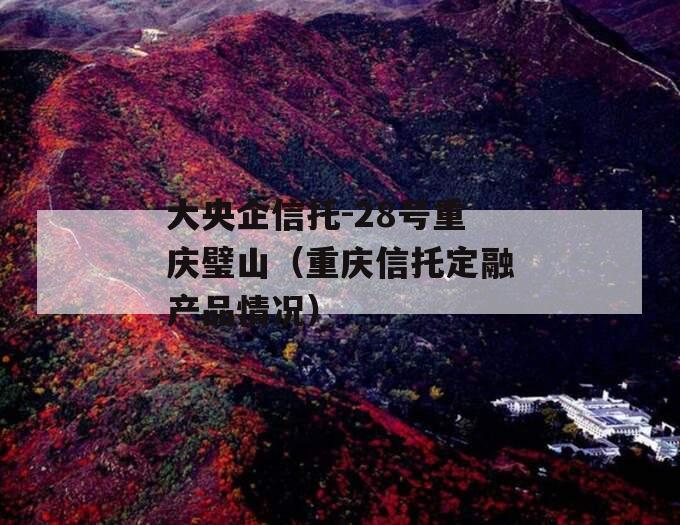 大央企信托-28号重庆璧山（重庆信托定融产品情况）
