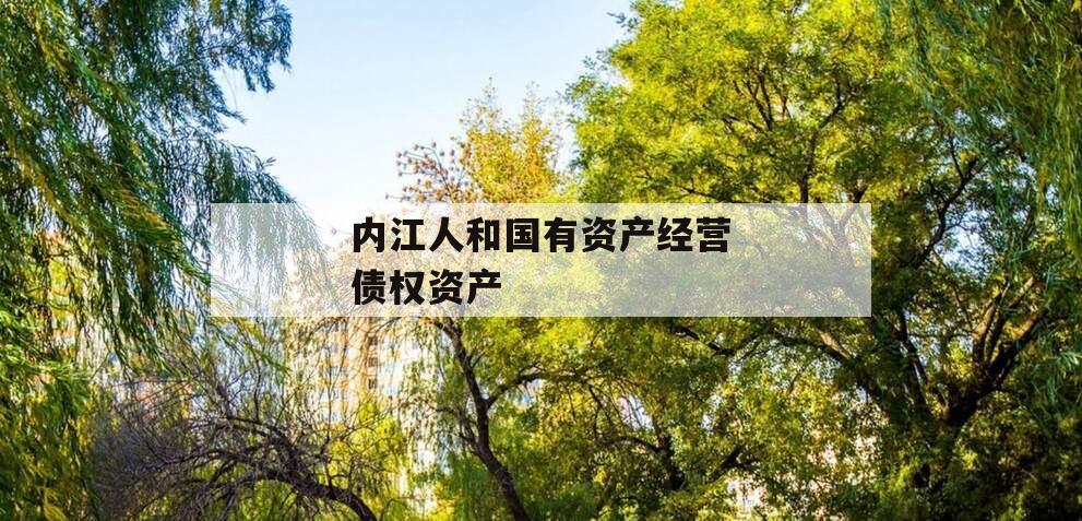 内江人和国有资产经营债权资产