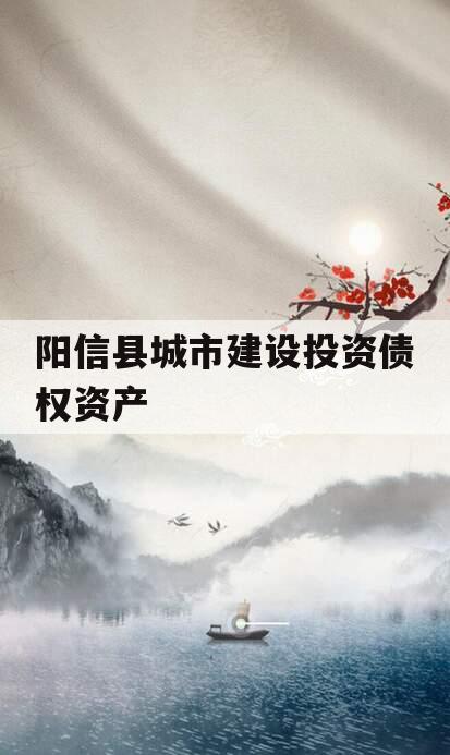 阳信县城市建设投资债权资产