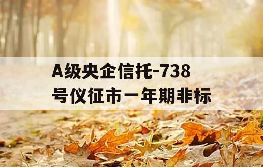 A级央企信托-738号仪征市一年期非标