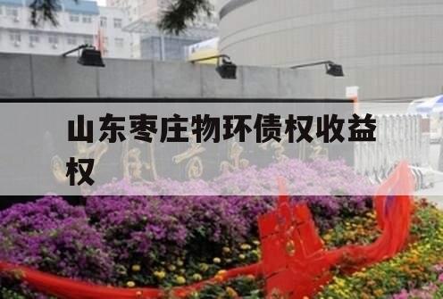 山东枣庄物环债权收益权