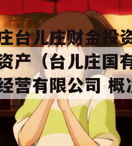 枣庄台儿庄财金投资债权资产（台儿庄国有资产经营有限公司 概况）