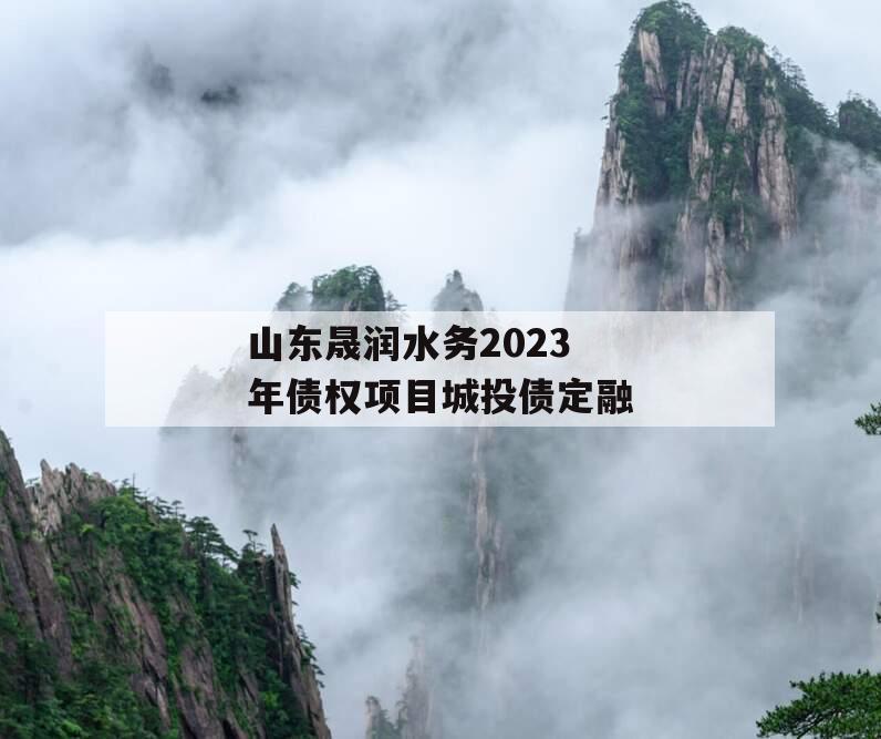 山东晟润水务2023年债权项目城投债定融