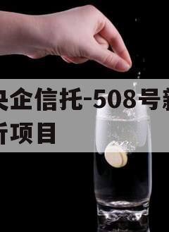 央企信托-508号新沂项目