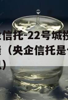 央企信托-22号城投标债（央企信托是什么意思）