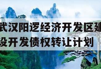 武汉阳逻经济开发区建设开发债权转让计划