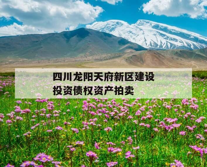 四川龙阳天府新区建设投资债权资产拍卖
