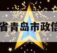山东省青岛市政信项目