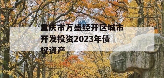 重庆市万盛经开区城市开发投资2023年债权资产