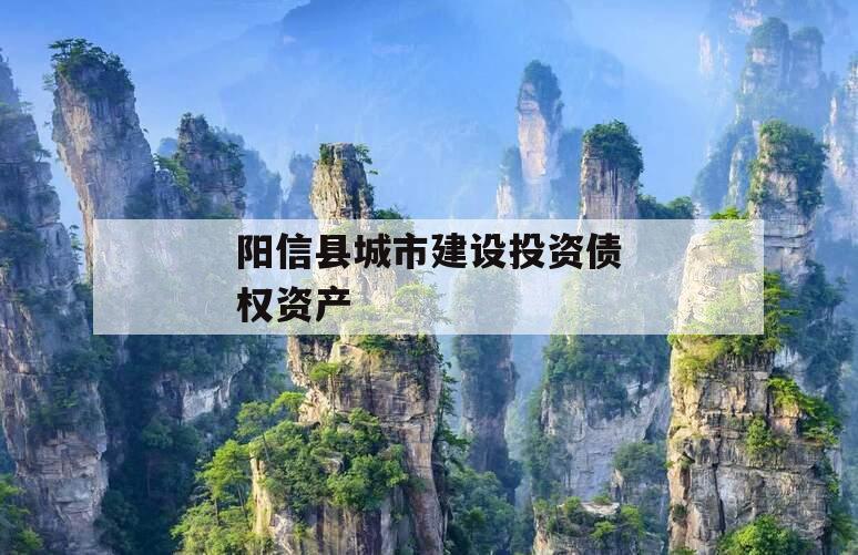 阳信县城市建设投资债权资产
