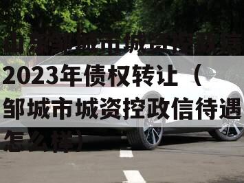 山东邹城市城资控政信2023年债权转让（邹城市城资控政信待遇怎么样）