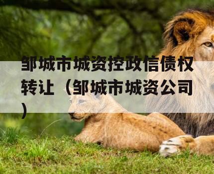 邹城市城资控政信债权转让（邹城市城资公司）
