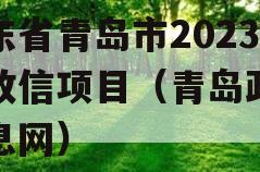 山东省青岛市2023年政信项目（青岛政信信息网）
