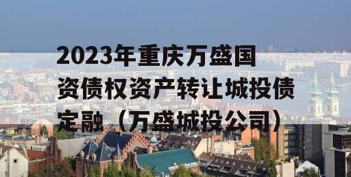 2023年重庆万盛国资债权资产转让城投债定融（万盛城投公司）