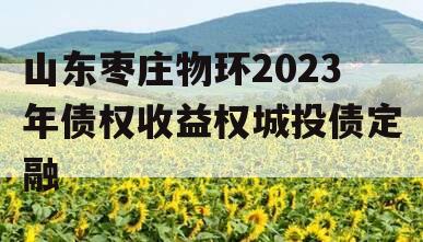 山东枣庄物环2023年债权收益权城投债定融
