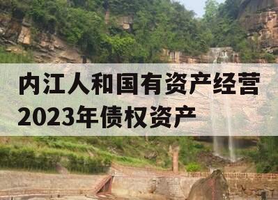 内江人和国有资产经营2023年债权资产