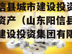 阳信县城市建设投资债权资产（山东阳信县城市建设投资集团有限公司）