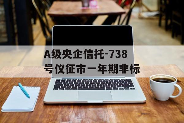 A级央企信托-738号仪征市一年期非标
