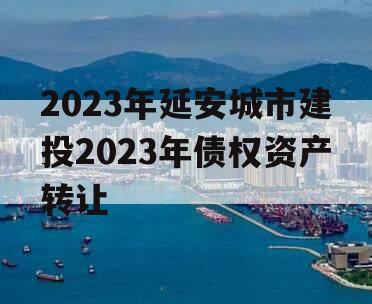 2023年延安城市建投2023年债权资产转让