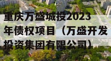重庆万盛城投2023年债权项目（万盛开发投资集团有限公司）