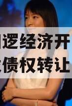 武汉阳逻经济开发区建设开发债权转让计划