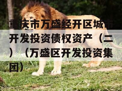 重庆市万盛经开区城市开发投资债权资产（二）（万盛区开发投资集团）