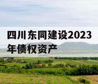 四川东同建设2023年债权资产