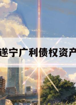 遂宁广利债权资产