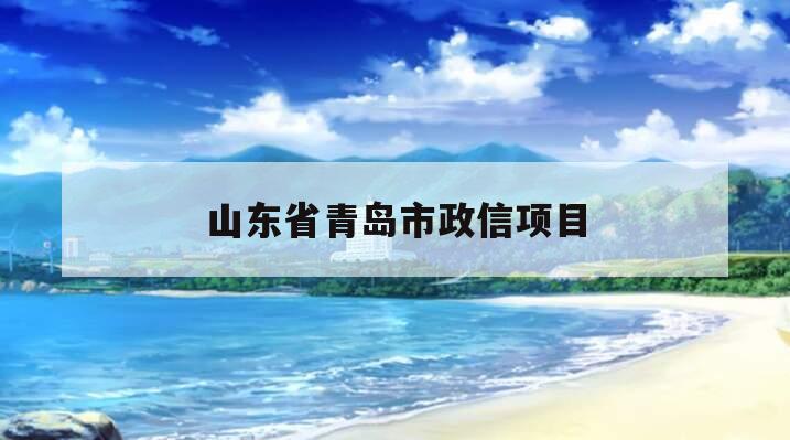 山东省青岛市政信项目