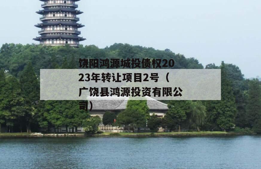 饶阳鸿源城投债权2023年转让项目2号（广饶县鸿源投资有限公司）
