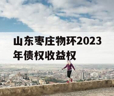 山东枣庄物环2023年债权收益权