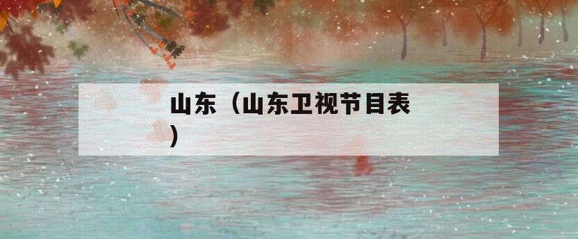 山东（山东卫视节目表）
