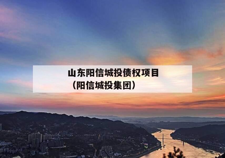 山东阳信城投债权项目（阳信城投集团）