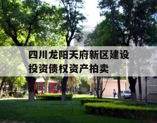 四川龙阳天府新区建设投资债权资产拍卖