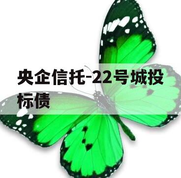央企信托-22号城投标债
