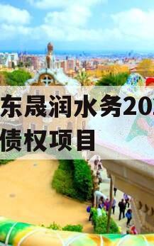 山东晟润水务2023年债权项目