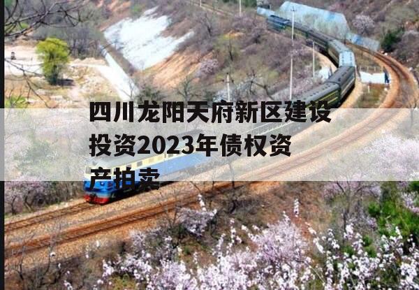 四川龙阳天府新区建设投资2023年债权资产拍卖